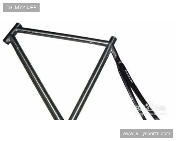 户外登山杖材质选择碳纤维与铝合金性能对比解析